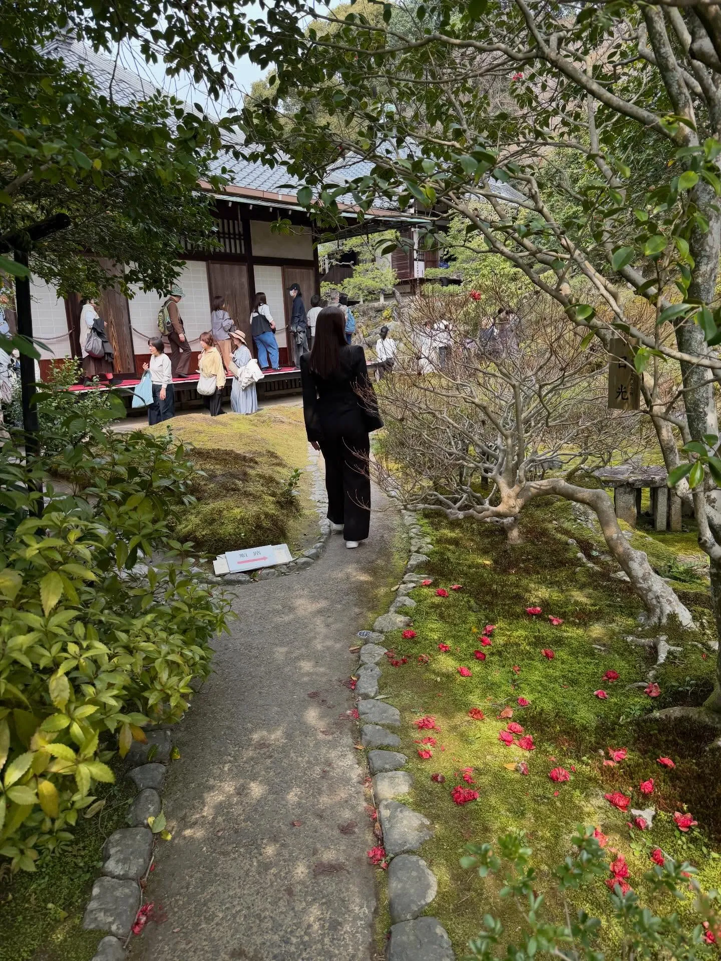 「Camellia」という名前に込めた想いを、